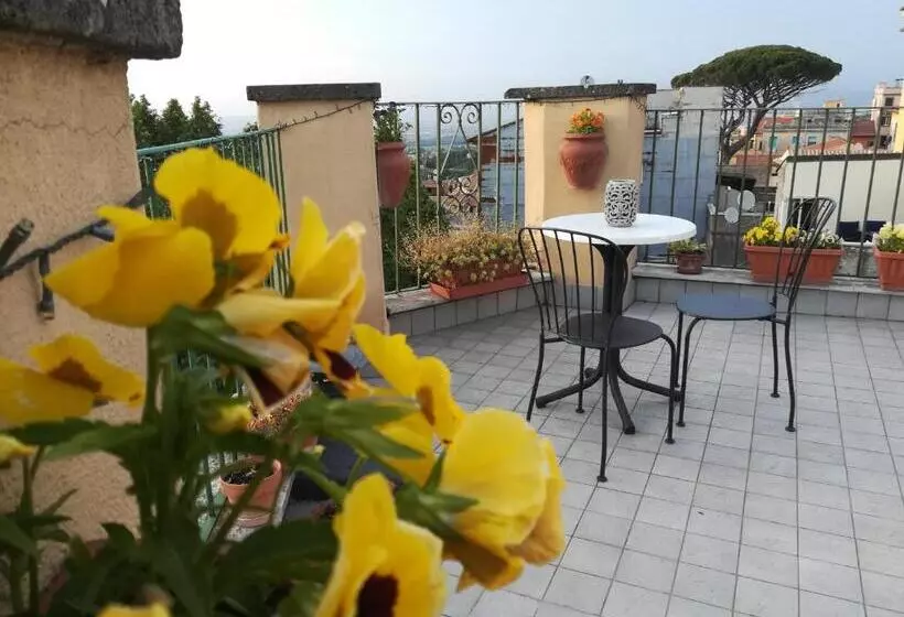 B&b Buonfiglio Cicconcelli   Terrazza Panoramica