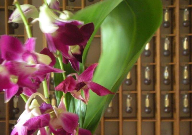 Hotel Albergo Savoia Palace