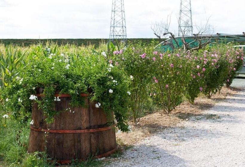 교외 호텔 Fattoria Del Nonno Berto