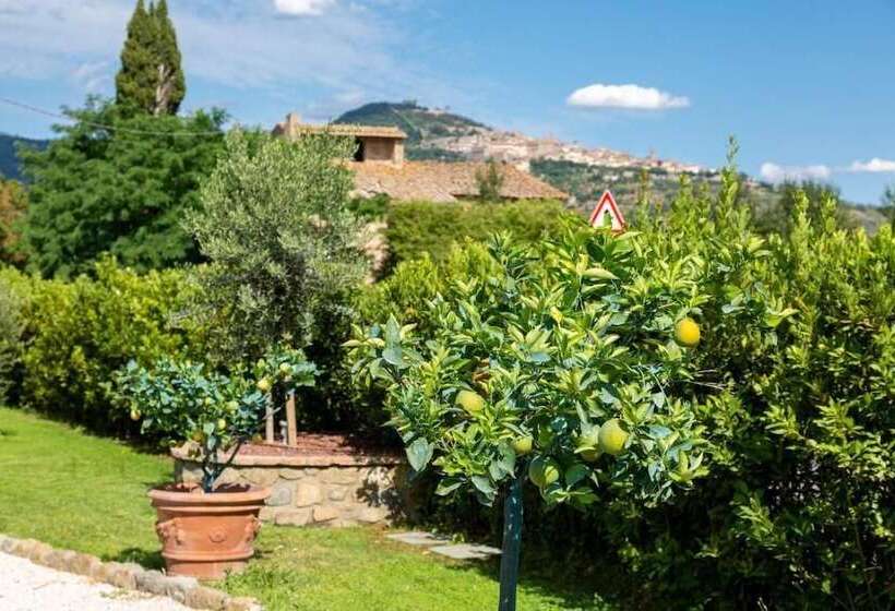 교외 호텔 Fattoria Del Nonno Berto