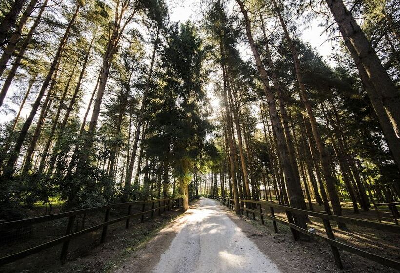 هتل روستایی Parco Dei Cimini   Bioresort