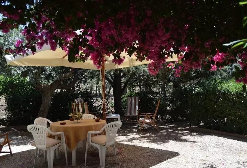 Majatalo Bouganville Guest House