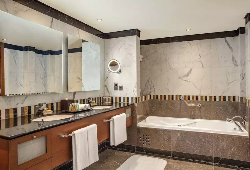 فندق Al Ain Rotana