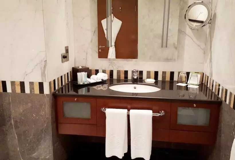 فندق Al Ain Rotana