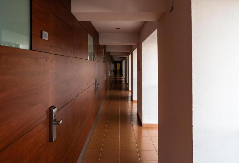 ホテル Alcossebre