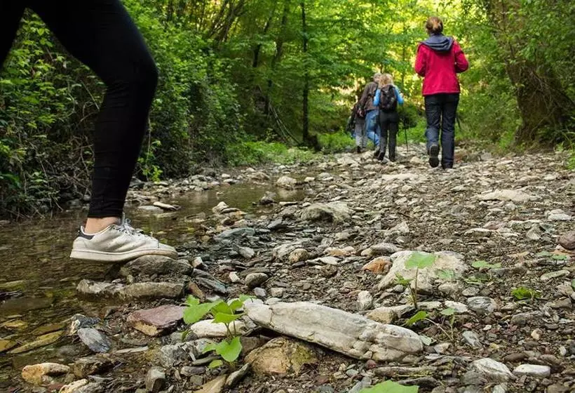 Отель Grand San Marco & Spa