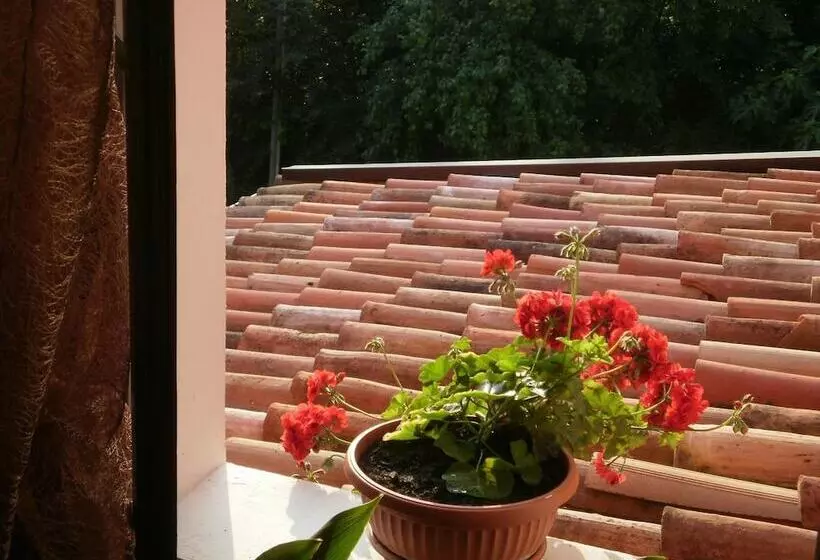 B&b Al Samaron