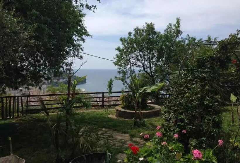 Aamiaismajoitus (B&B) Villa Malandrino Guest House