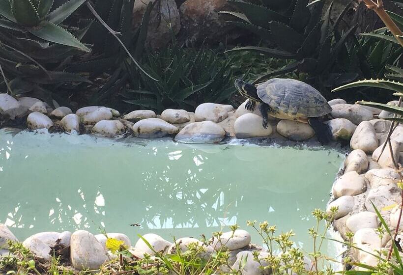 住宿加早餐  Villa Panoramica Sul Mare