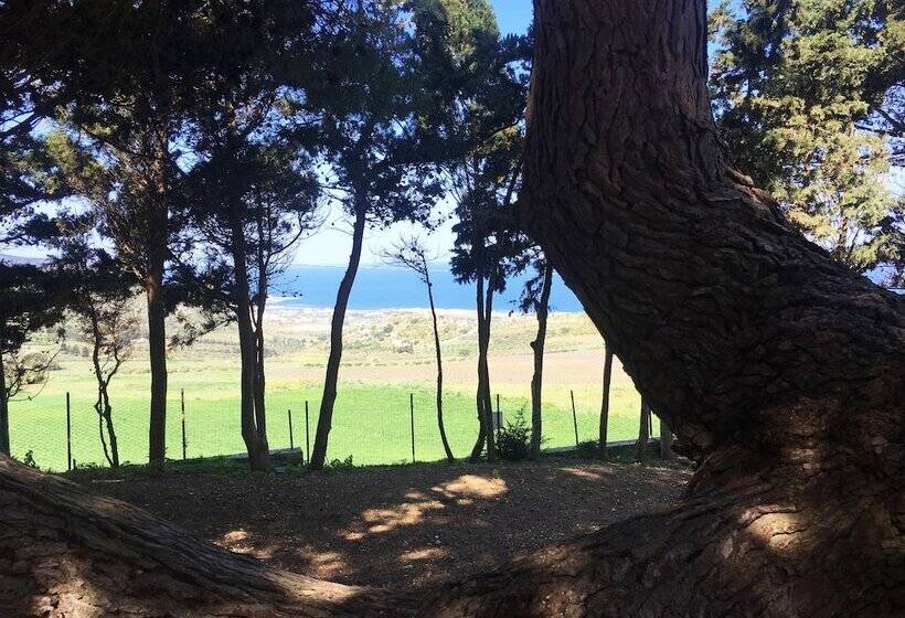 住宿加早餐  Villa Panoramica Sul Mare