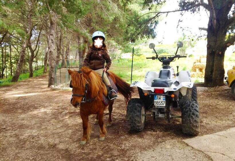 住宿加早餐  Villa Panoramica Sul Mare