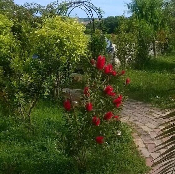 فندق ريفى Agriturismo Bassarì