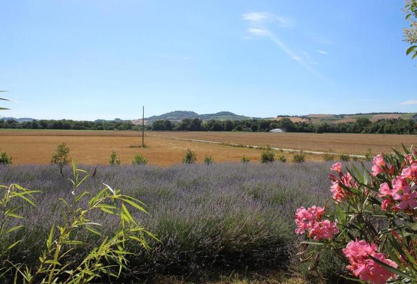 فندق ريفى Agriturismo Bassarì