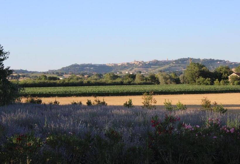 فندق ريفى Agriturismo Bassarì