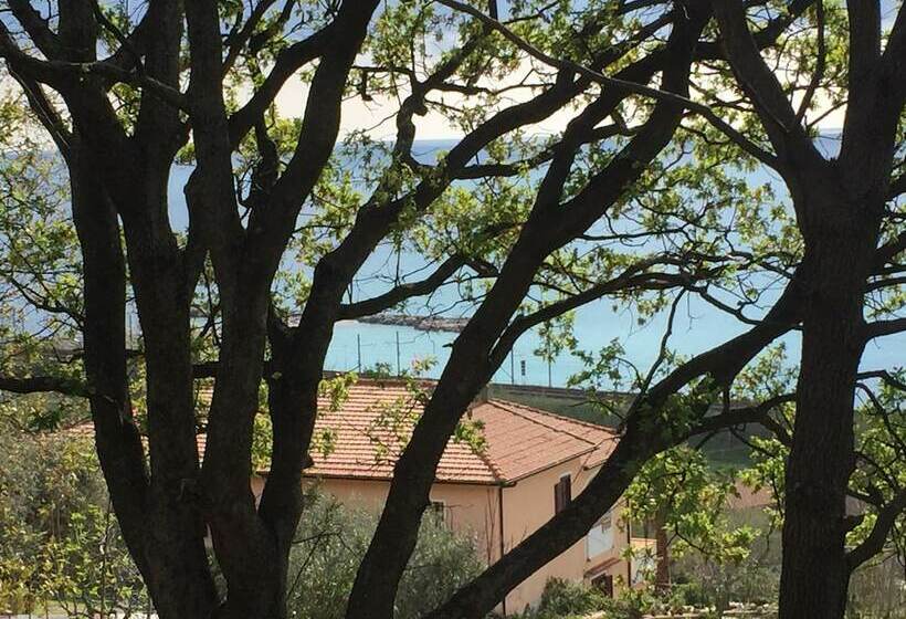 B&b Colle Degli Ulivi