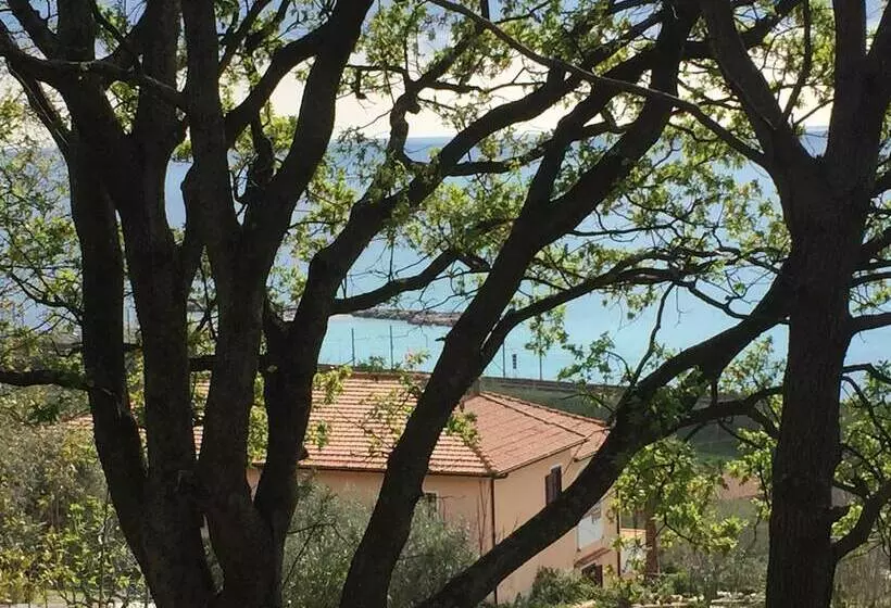 B&b Colle Degli Ulivi