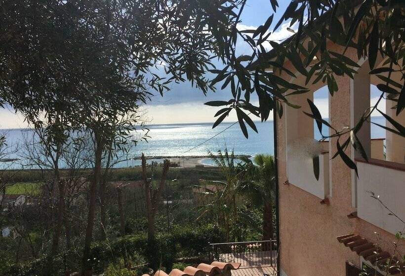 B&b Colle Degli Ulivi