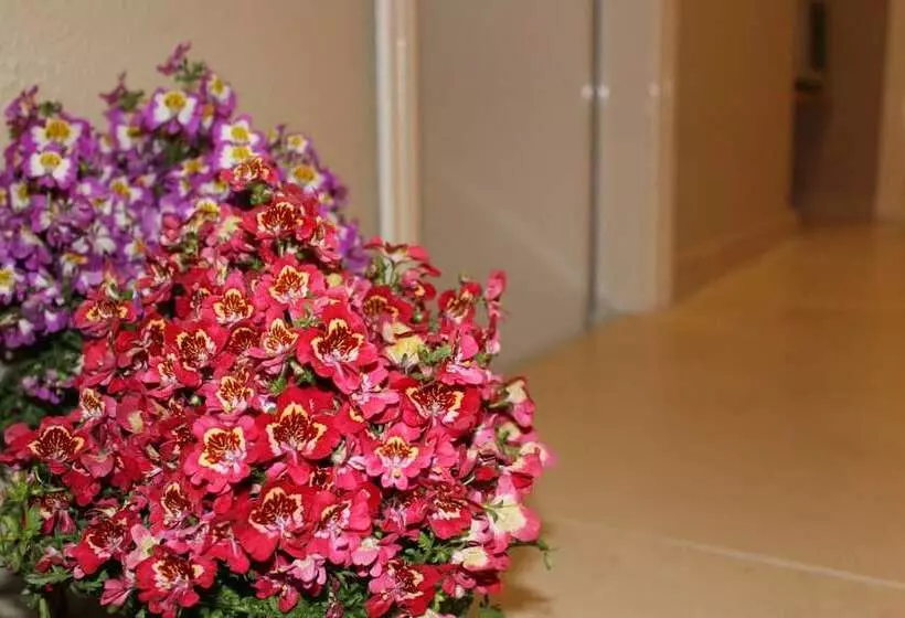 تختخواب و صبحانه Harmony Rooms