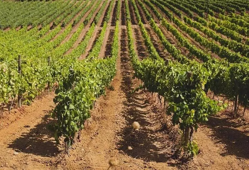 簡易ホテル Baglio Caruana Cantina & Relais