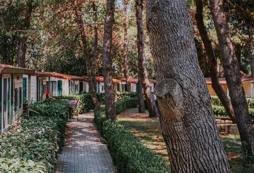 فندق Centro Vacanze Mulino D Acqua