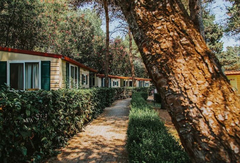 فندق Centro Vacanze Mulino D Acqua