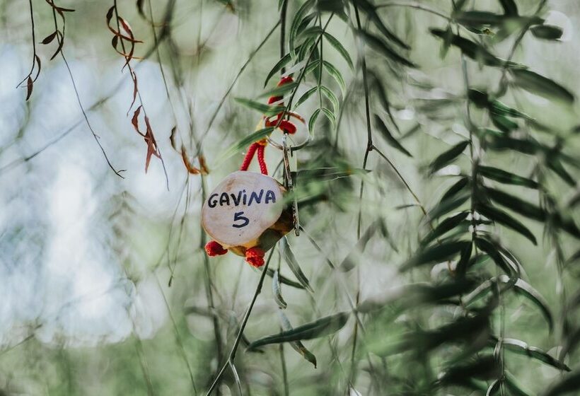 فندق Centro Vacanze Mulino D Acqua