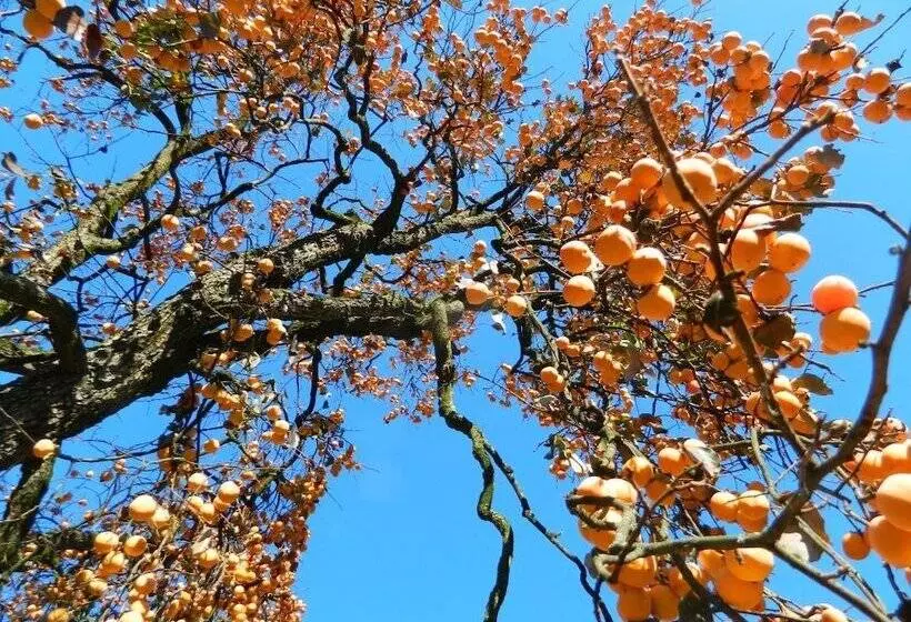 Maaseutuhotelli Agriturismo Cascina Pezzolo