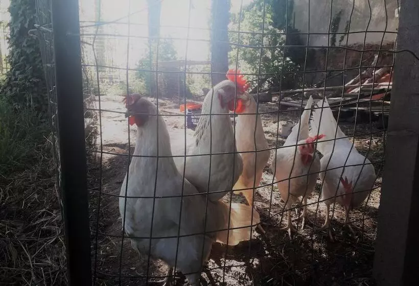 Maaseutuhotelli Agriturismo Cascina Pezzolo