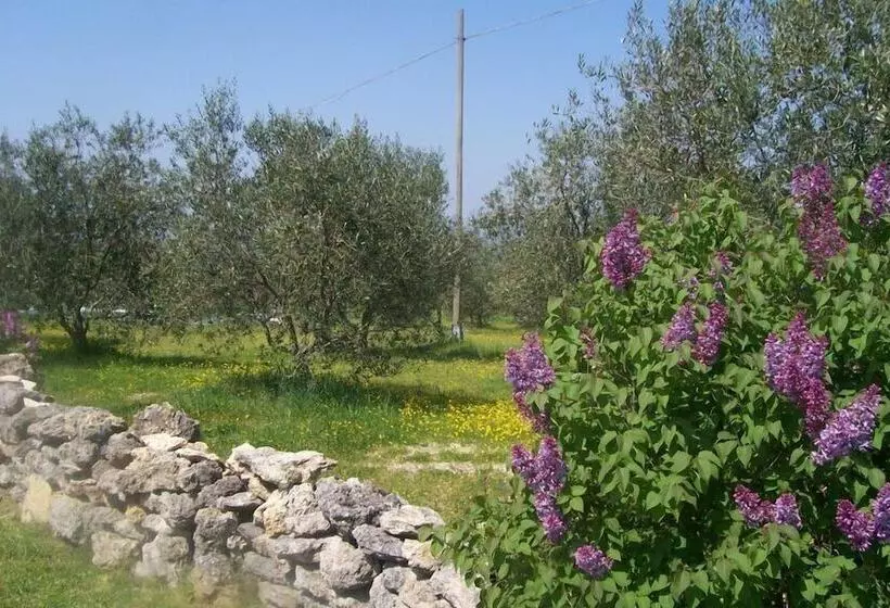 Hotel di Montagna Agriturismo Il Grillo Parlante
