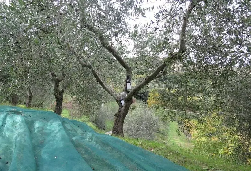 Maaseutuhotelli Agriturismo La Casella