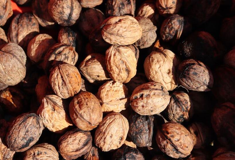 בית מלון כפרי Agriturismo La Casella