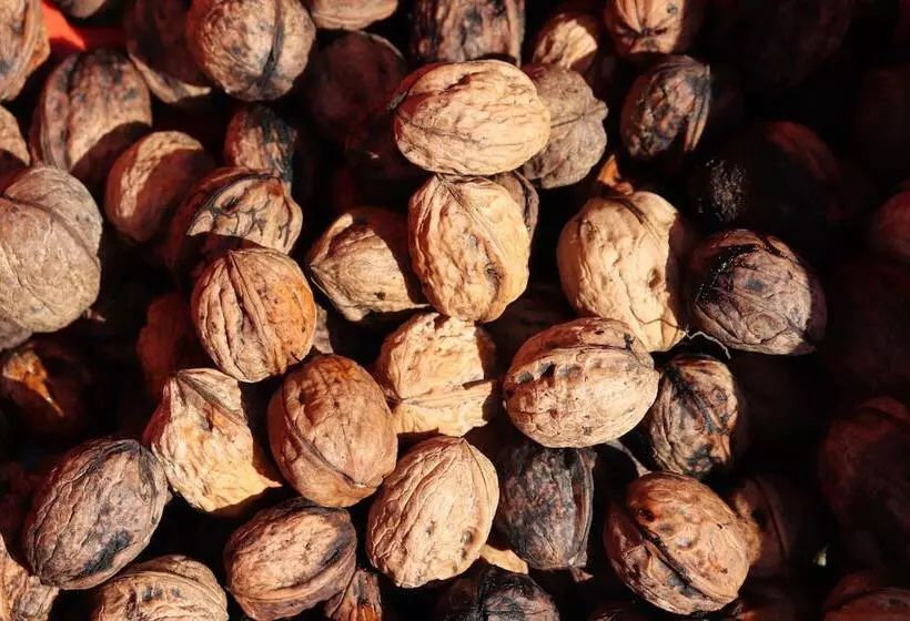 Maaseutuhotelli Agriturismo La Casella