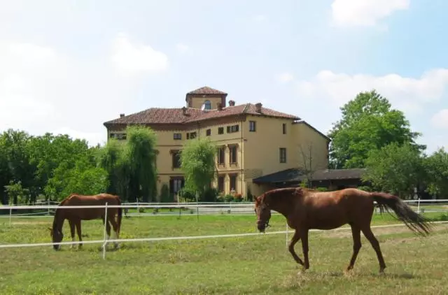 Maaseutuhotelli B&b Monvicino