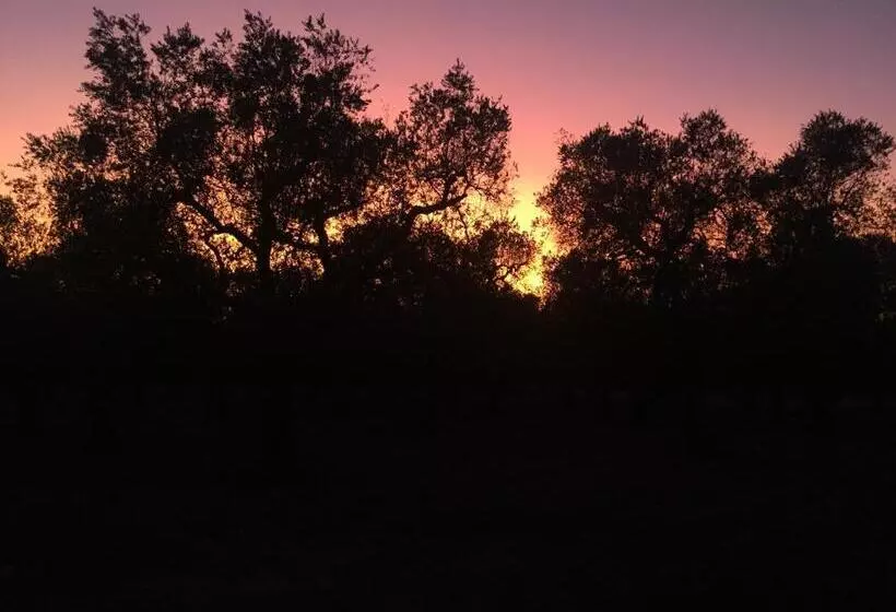 ペンション Palazzo Vilei