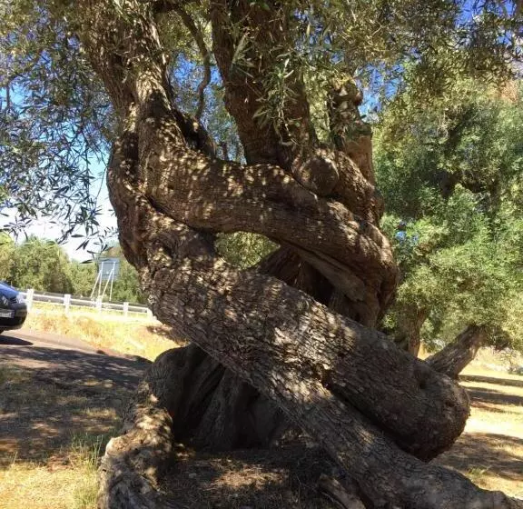 ペンション Palazzo Vilei