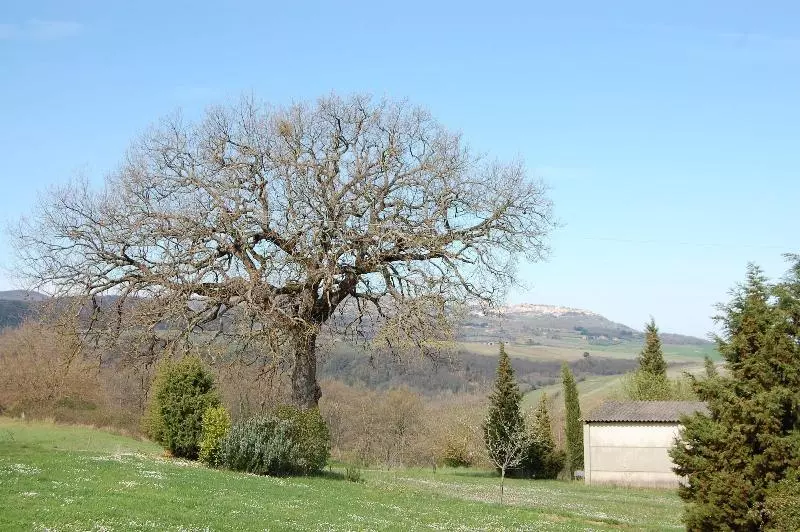 Agriturismo Rossello