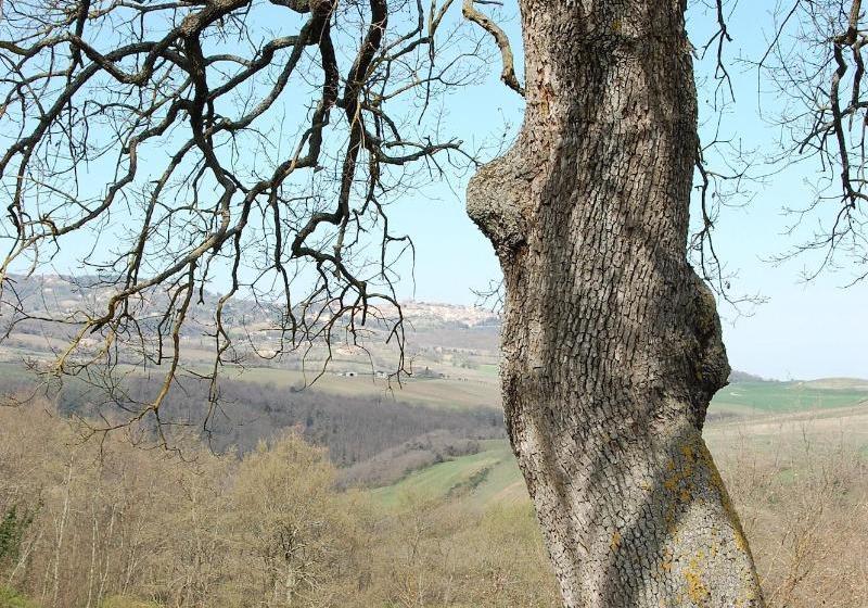 Agriturismo Rossello