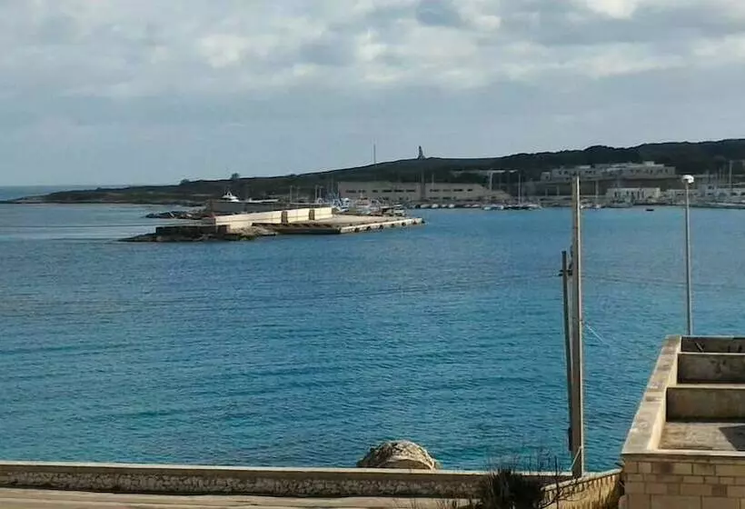 B&b Gelsimori