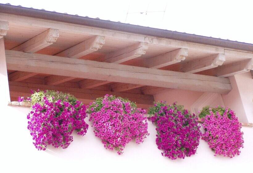 Bed and Breakfast Bramaluna