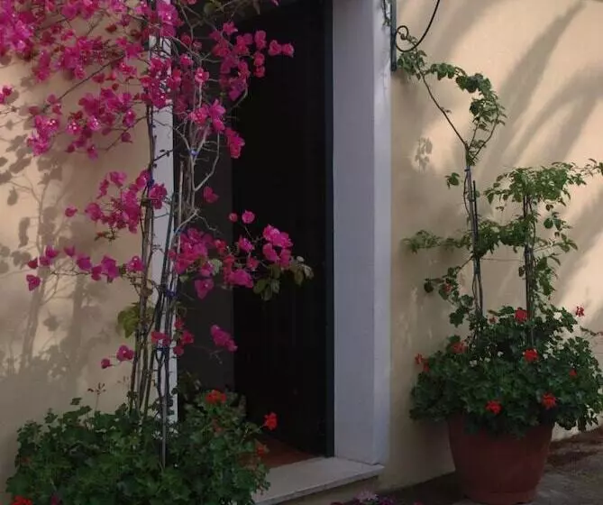 Aamiaismajoitus (B&B) Sorecanu