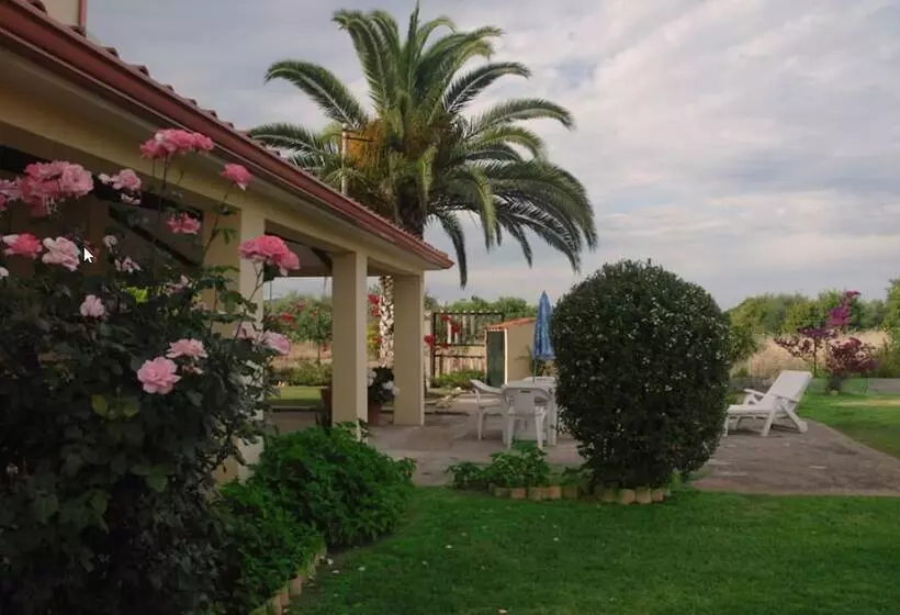 Aamiaismajoitus (B&B) Sorecanu