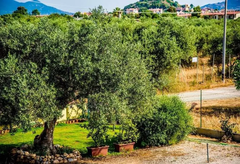 Aamiaismajoitus (B&B) Sorecanu