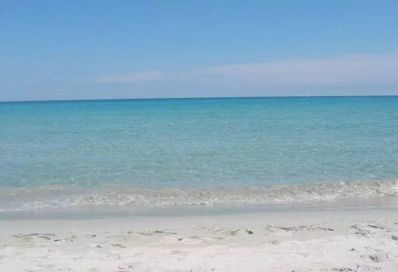 ホテル Amfibietreks