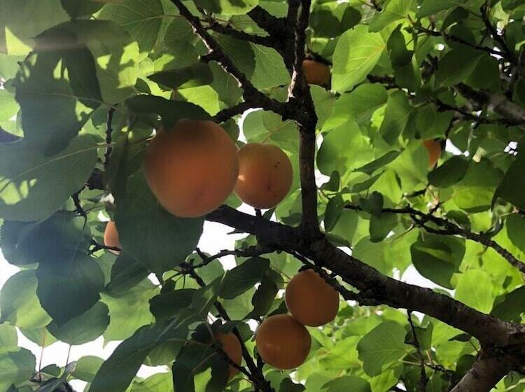 فندق ريفى Agriturismo Vivinatura