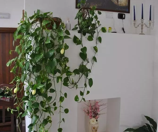 Bed and Breakfast Corte San Martino