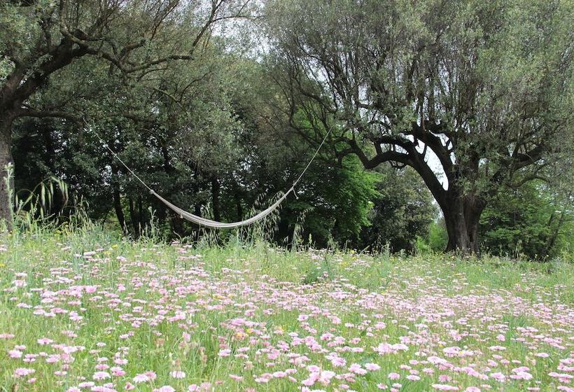 Bed and Breakfast Locanda San Fantino