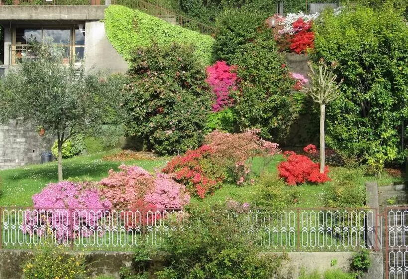 Hotelli Albergo Riva