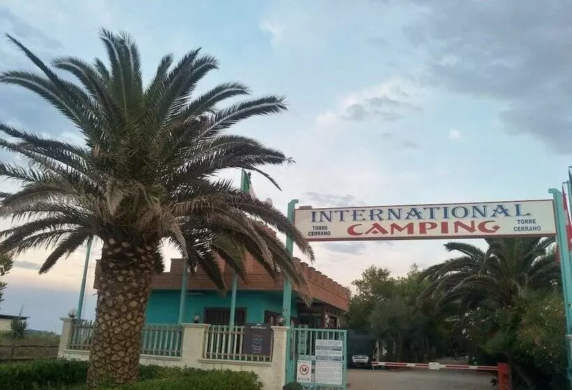 ホテル International Camping Torre Cerrano