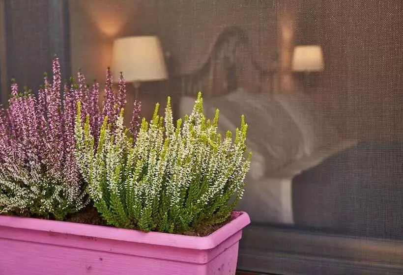 Maaseutuhotelli Casalrosso