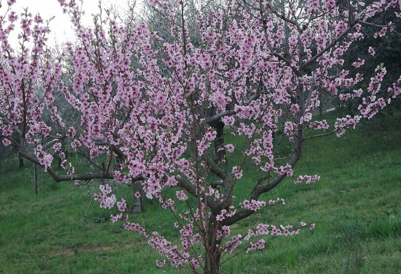 בית מלון כפרי Il Campano